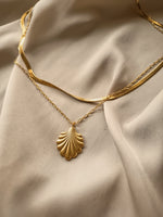 VICTORIAN SHELL NECKLACE